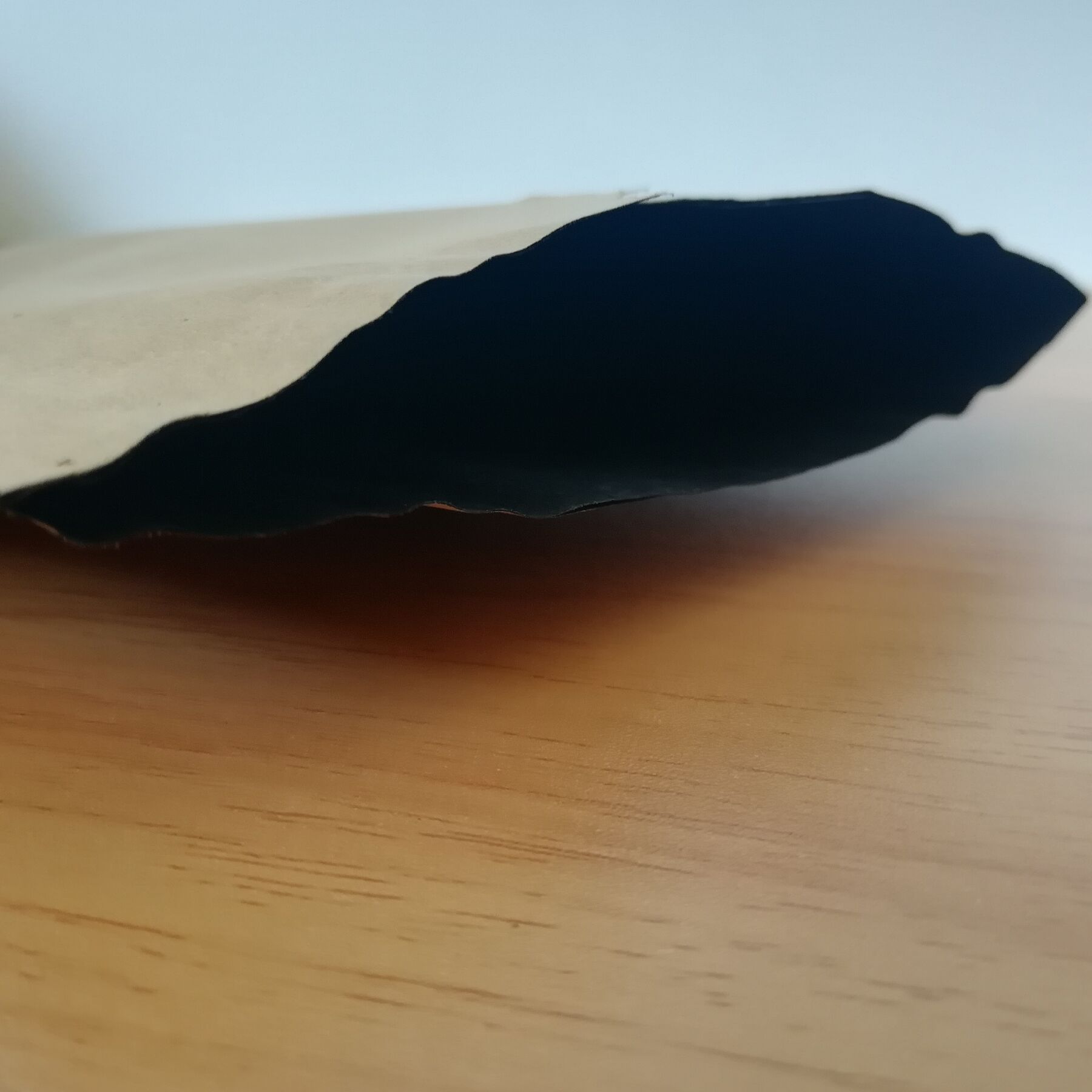爱果柑橘套袋橘子丑橘橙子不知火套袋石榴套袋防鸟虫防水育果套袋