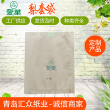 秋月梨套袋双层防鸟防水果袋可降解透气防雨梨子专用加厚型