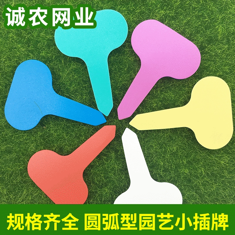 Цветочная этикетка Т-образная Вставка Марка Цвет Маленькая этикетка Горшечное растение Отличить Вставить этикетку Arc Мясистая этикетка