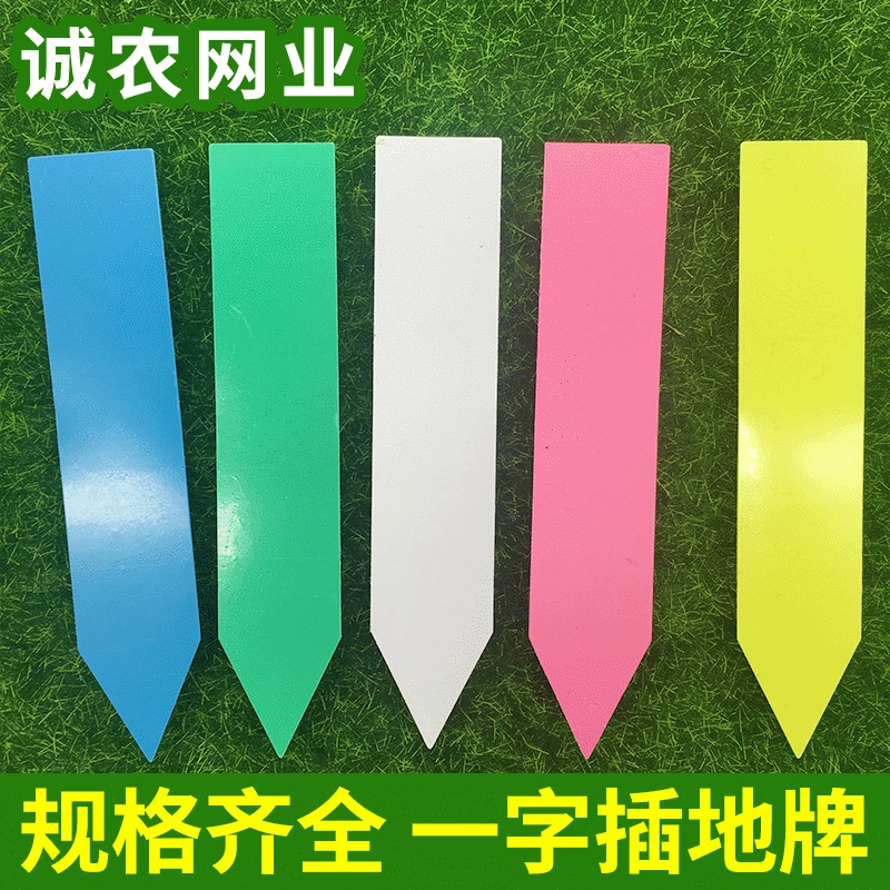 Пластиковая односимвольная вставка карта цвет цветок мясо вставка карточная этикетка оптом Садовые принадлежности Настройка этикетки