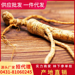 �L��ɽ������ɽ���˅��|�������ݾ��Ҝ����aƷ�����B��