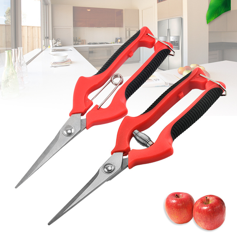 批发 不锈钢摘果剪尖头树枝剪蔬果园林修枝剪花艺剪园艺剪