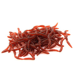 Factory Wholesale Red Worms Earthworms 20 Pieces 50 Pieces 100 Pieces 200 Pieces Soft Baits Soft Worms Lure Baits for Pike Perch