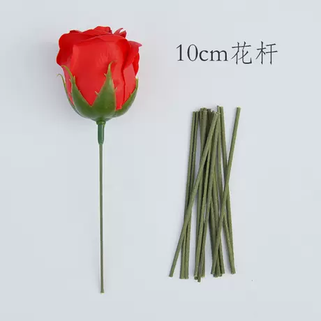 10cm leafless stem