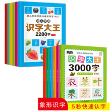 包邮幼儿学前识字大王 幼小衔接学前常用字 儿童练习图书全套6册