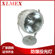 �S���N��BAT51����LEDͶ���A�η�����ˮLED����Ͷ�������