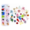 Set for manicure, hydrolate, nail stickers, Japanese fake nails, nail decoration, 12 colors, new collection