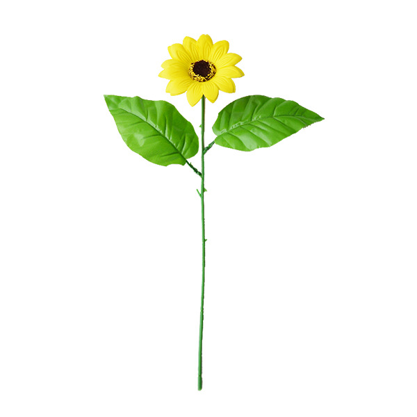 해바라기 막대