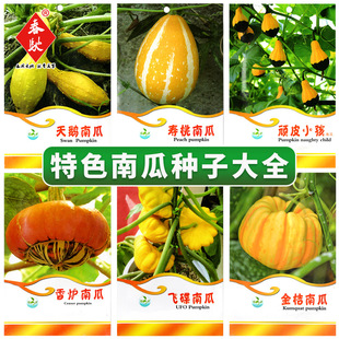 ���l�^�p�ϹϷN�� �w���� �����Ϲ� ������t ���Zؐؐ�����Ϲ���