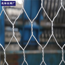 河北专业生产石笼网现货防冲刷保护 箱笼、网垫网箱量大优惠