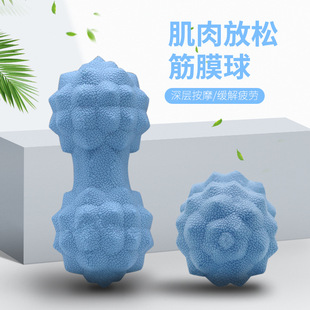 ��Ħ���٤������Ĥ������Ѩλ��Ħ����������