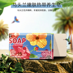 Han Bao Li 250g Tropical Health Soap Bath and Face Soap Dust Mite Repellent Aroma Foreign Trade Type Soap Manufacturer Wholesale