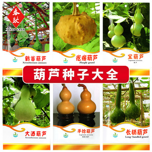 ���l��ɫ���J�N�� �����J ��ƺ��J �����J �Q�׺��J�������J�N��