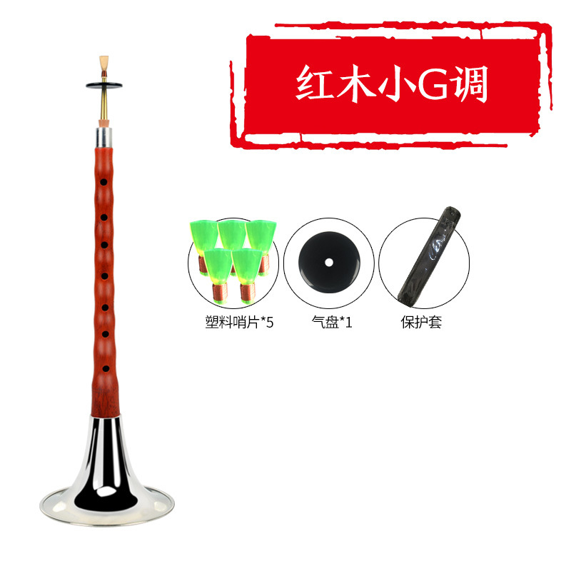 Ébano ébano suona instrumento musical bcefg ajustable tono D principiante viejo profesional niños tamaño pequeño grande Rosewood silbato