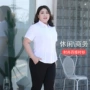 加大码大码新款气质衬衫