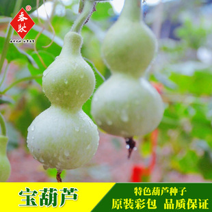 �����J��Ʒ�N�N�����ԷN����������5���^�pС���J�׷N���J��