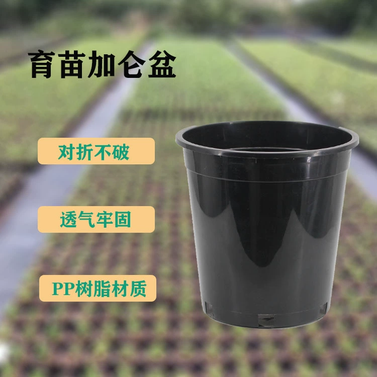 [Галлонный бассейн] Тонкий 5 пять галлонов рассады Садоводство черный галлонный бассейн антивозрастной анти-капельный пластиковый цветочный горшок