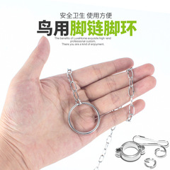 Stainless steel parrot leg chain leg ring bird chain chain foot chain open ring tiger skin leg chain buckle bird supplies foot