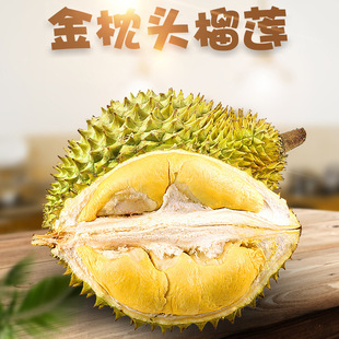 �M��̩�����ƽ�����ɏ ���l2/7����Ŵ������ɏA�����rˮ��