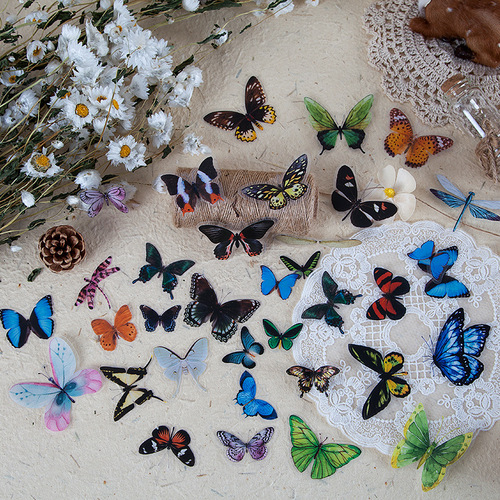 Mojing PET Sticker Pack Wing Taxidermist Series Butterfly Handbook DIY Special Shaped Material Stickers 40 pieces in 8 styles