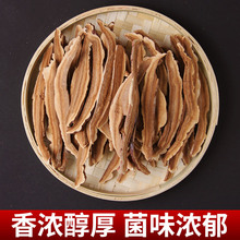 Lɽ`֥ƬƬ500 xľBֳ`֥Ƭ1ɴl