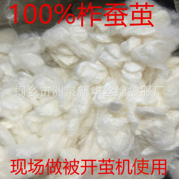 柞蚕茧原料批发柞蚕丝精干茧现场开茧机用蚕丝被天然手工优级蚕丝