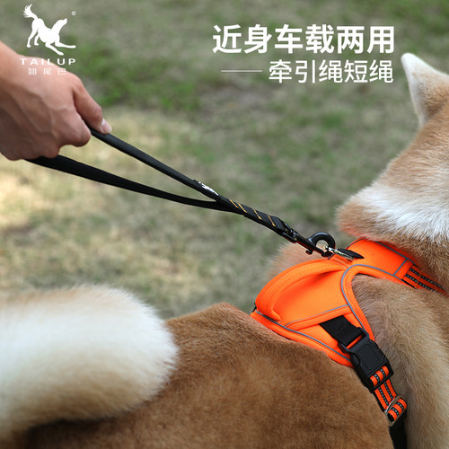 Amazon Direct Selling Pet Multi-Function Car Nylon Leash New Product for Walking and Dog Leash