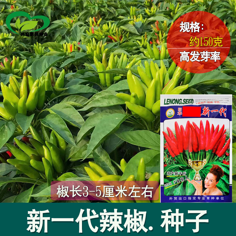 日本乐农新一代辣椒种子150g千斤高抗性高辣朝天椒种子批发