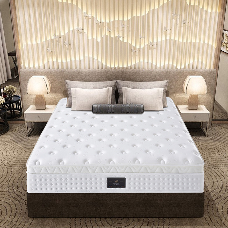 Westin Hotel Double-Layer Independent Pocket Spring Mini Latex Simmons Natural Latex Mattress Bedroom Home Bed Westin Hotel Double-Layer Independent Pocket Spring Mini Latex Simmons Natural Latex Mattress Bedroom Home Bed