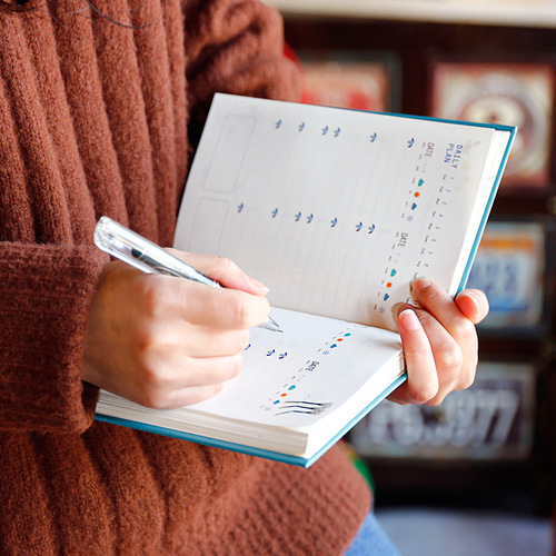 Business diary schedule ins style student diary wholesale 365 work plan this week diary notebook notes