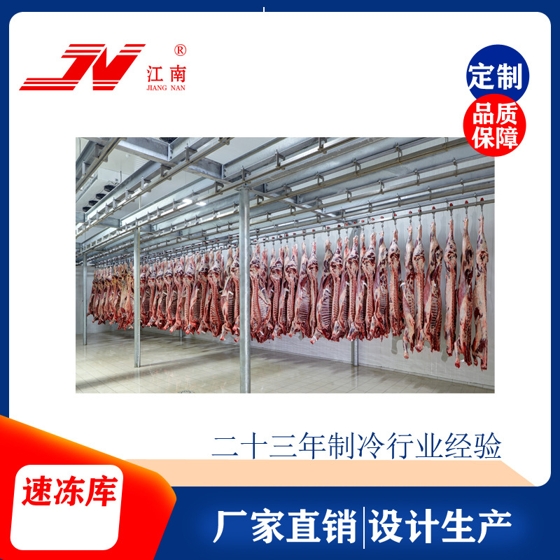 速冻库冷库厂家食品肉类海鲜工业医疗用超低温江南冷库