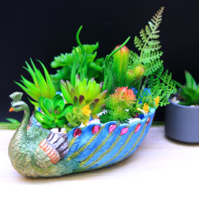 �S�ҷ������ins�Gֲ ���������ֲ�ﱳ�����b�Ԫ���������