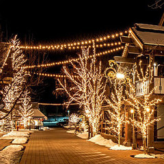 跨境新款LED工程亮化燈 戶外防水婚慶裝飾彩燈插電亮化工程滿天星