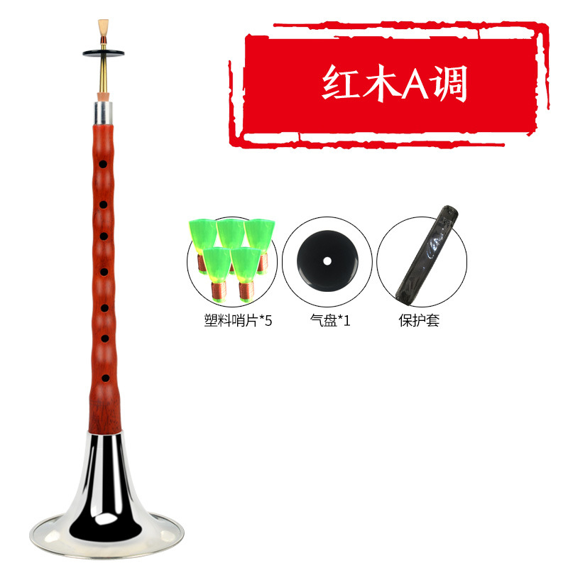 Ébano ébano suona instrumento musical bcefg ajustable tono D principiante viejo profesional niños tamaño pequeño grande Rosewood silbato