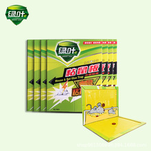 �G�~���b��ճ���ճ���N������������Nճ���z�A������ճ�����N