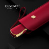 OLYCAT Automatic umbrella, sun protection cream solar-powered, fully automatic, UF-protection, wholesale