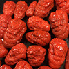 Nanhong dragon head three links of Panlong Full meat persimmon red decoration text DIY accessories live broadcast supply wholesale