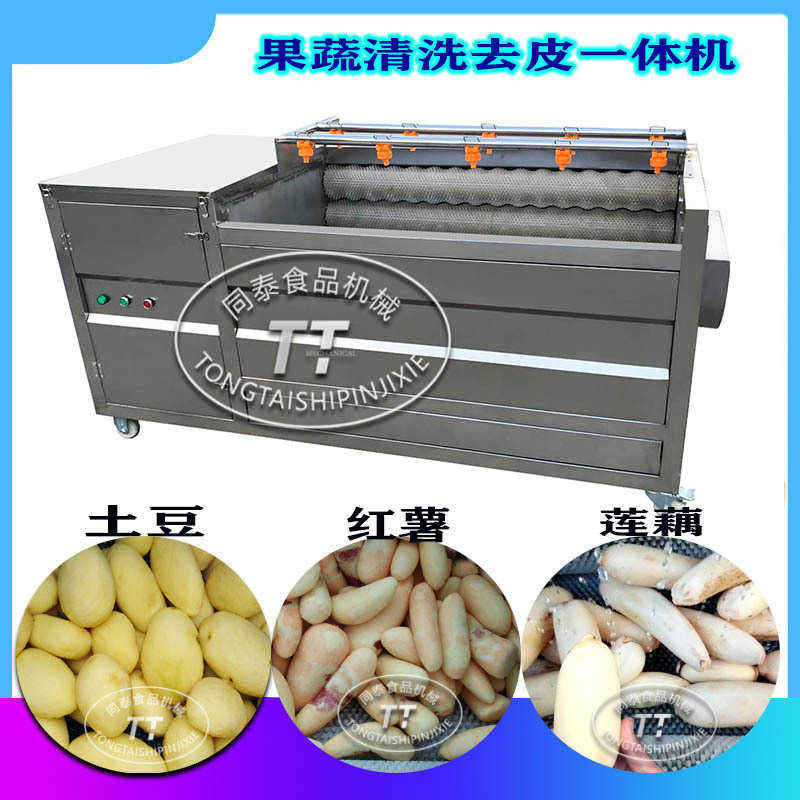 QX1680型毛辊红薯清洗去皮机 土豆脱皮机  果蔬清洗去皮加工设备