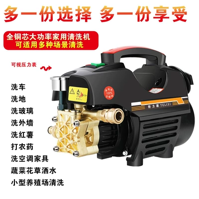 Portable car washer 220V self-service car washing pump