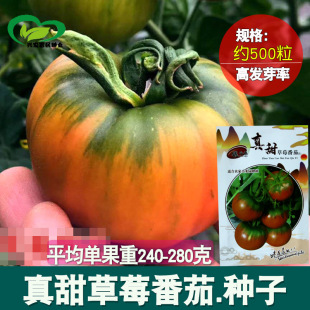 �����ݮ���ѷN�� �r��ˈ@�������Ƥ������