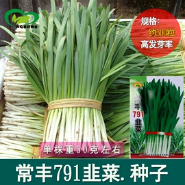 蔬菜种子;其他园林资材