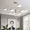 Scandinavian modern ceiling lamp for living room, creative design lights