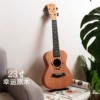 【23 inches】 Lucky logs