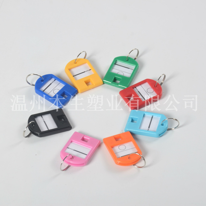 Amazon Hot Sale ABS Colorful Plastic Keychain Luggage Tag Number Classification Tag Hotel Hotel