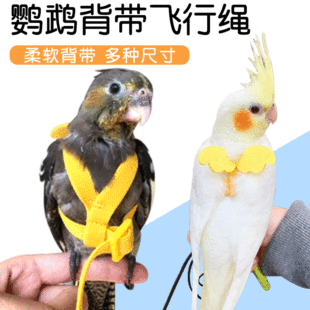 �W�^�w���K ���Lĵ�������K������B�������w�K �羳�W�^�B��Ʒ