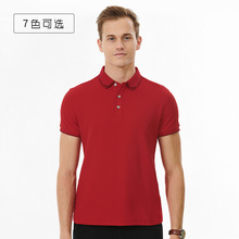 Ů߶˾Ʒ̄ỨIpoloIĻñMӡLOGO̽