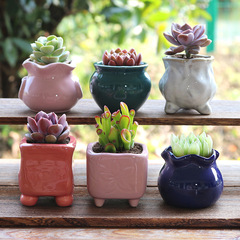 Succulent Flower Pot Ceramic Thumb Mini Plant Vase, Personalized & Creative Design, Kiln-Changed Style—Perfect for Small, Mature Succulents and Miniature Plants