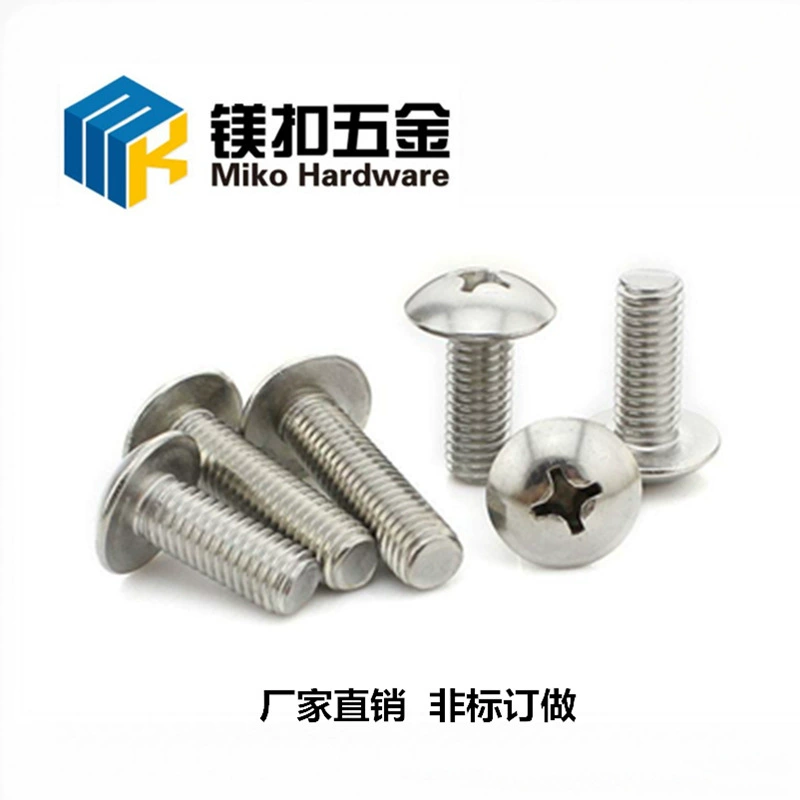Поставка 316 из нержавеющей стали с поперечной канавкой большой винт с плоской головкой Cantonese standard TM большой плоский провод M3.