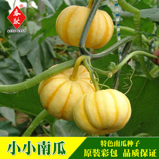 �����SؐؐС�ϹϷN����Ʒ�N����СС����10���ձ���۷Nֲ