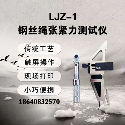 Dalian Leite LJZ-1 wire Sürətölçən (Spidometr)